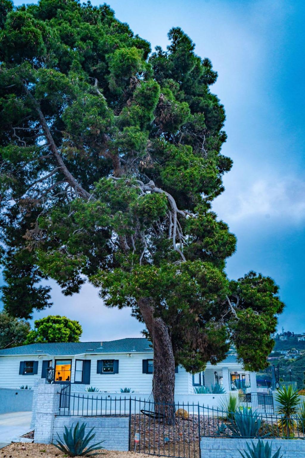 Holiday home Walk To Stunning Views La Jolla Shores *